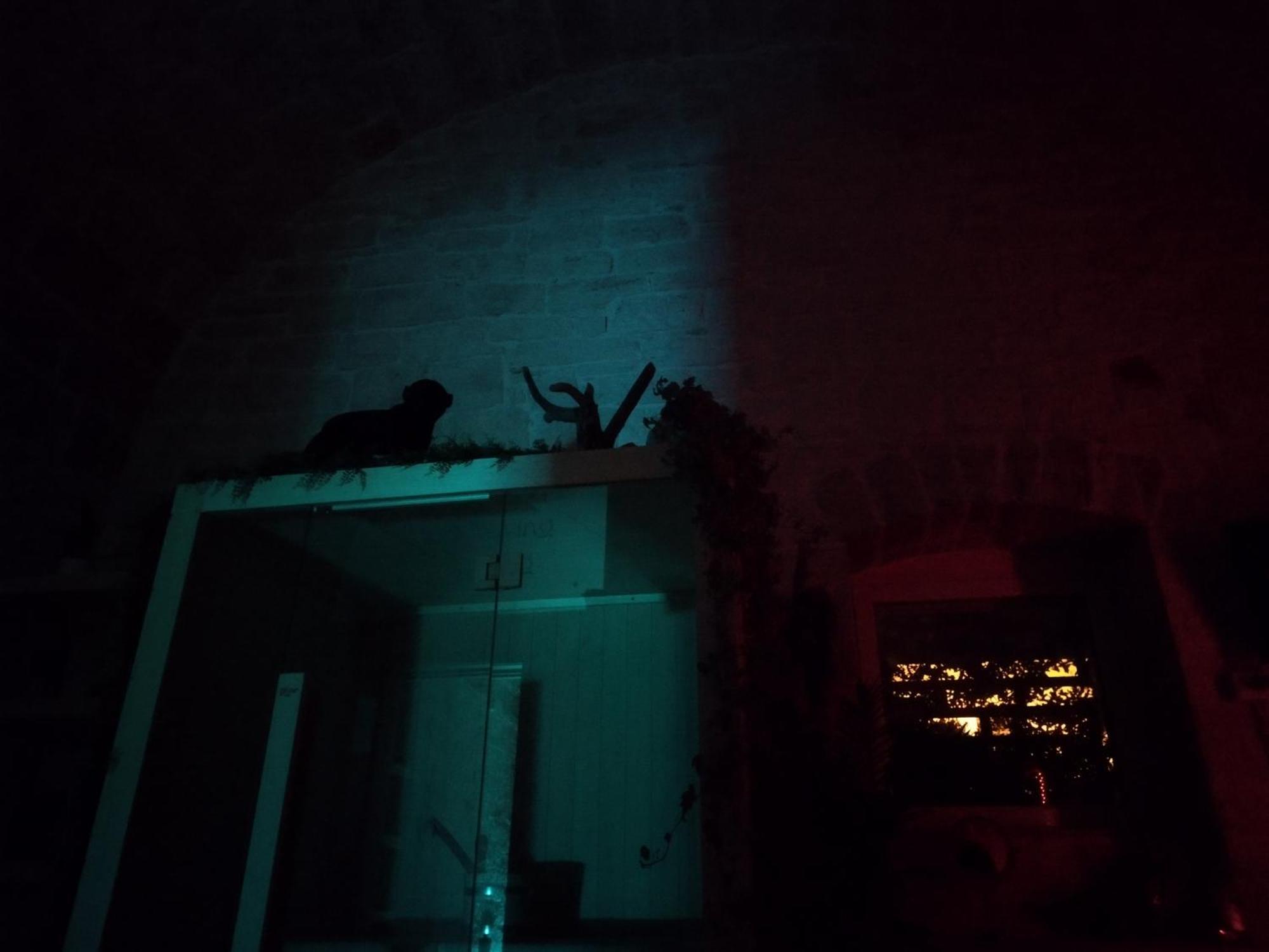 Alle Volte Maison Deluxe Giovinazzo